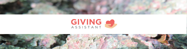 Giving Assistant